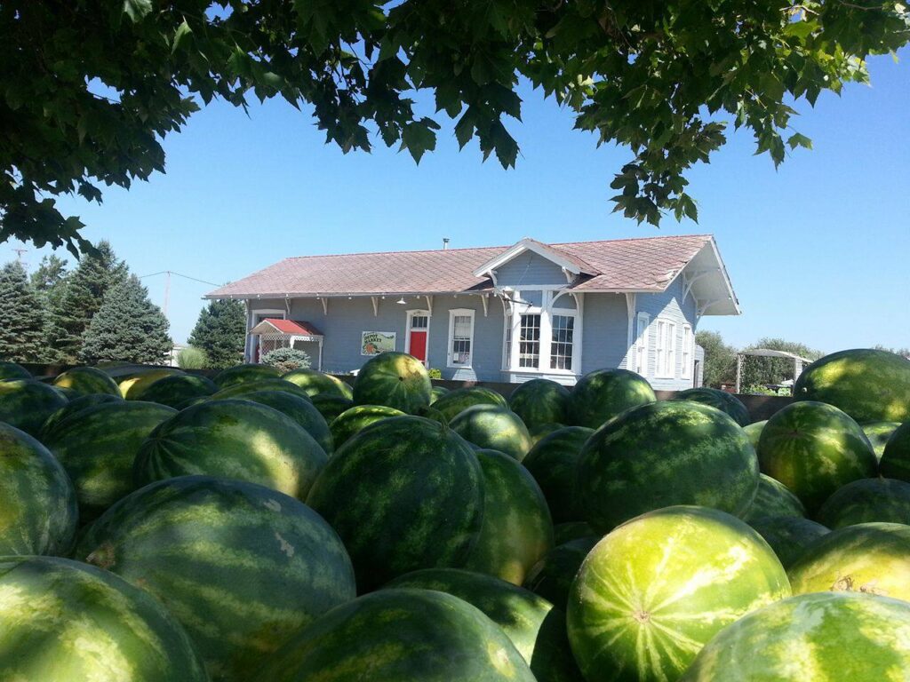 pile of watermelons with a building in the background