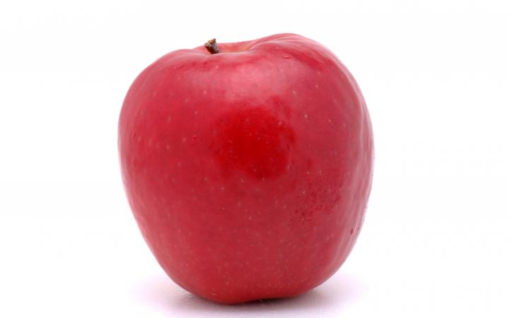 lady in red apple