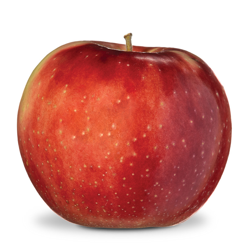 zestar apple