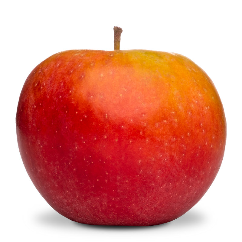 rosalee apple
