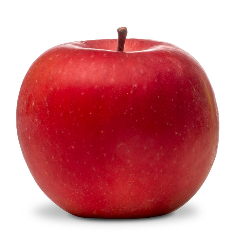 september wonder fuki apple